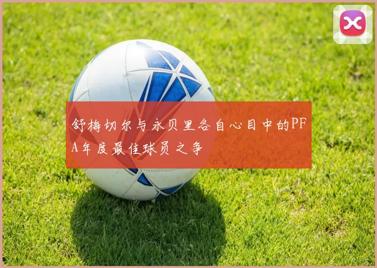 舒梅切尔与永贝里各自心目中的PFA年度最佳球员之争